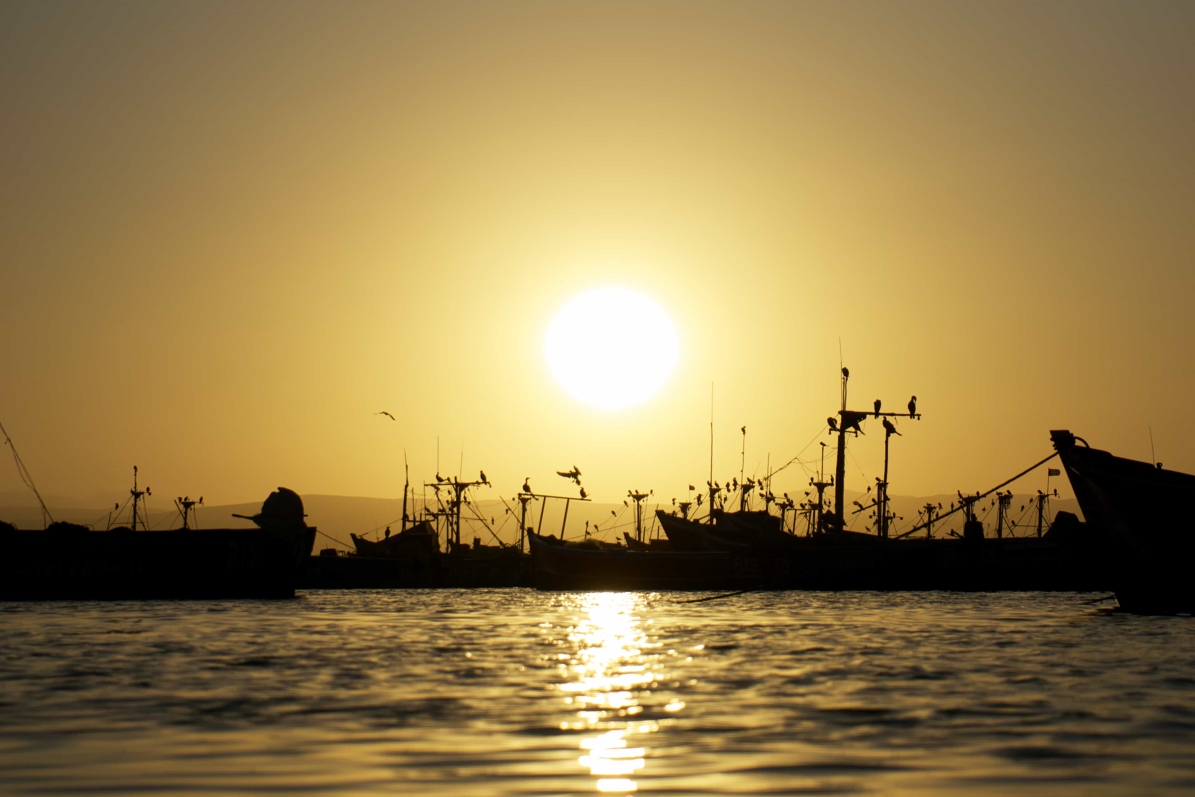Cover for Paracas and its Nature Reserve